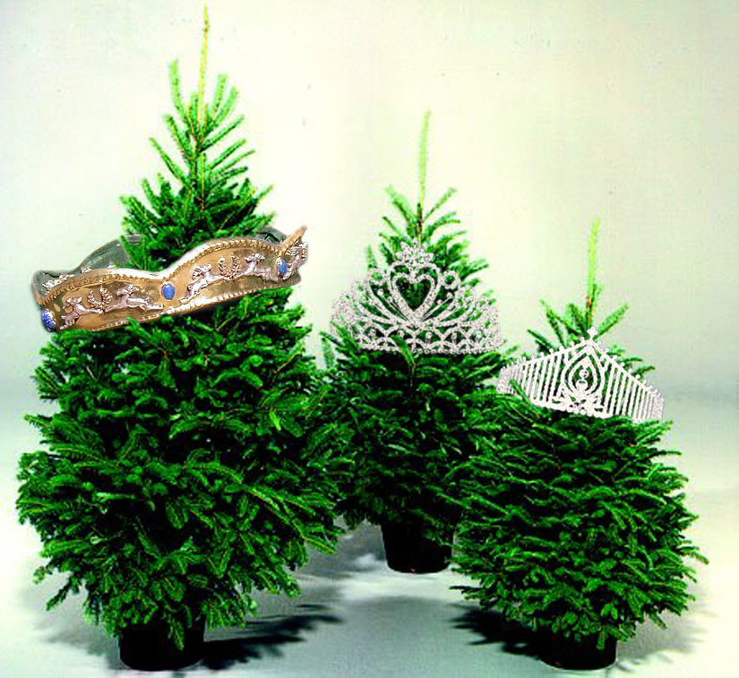 Design Photoshop par dnowhat pour DesignCrowd (Community Contests) | Design #9149109