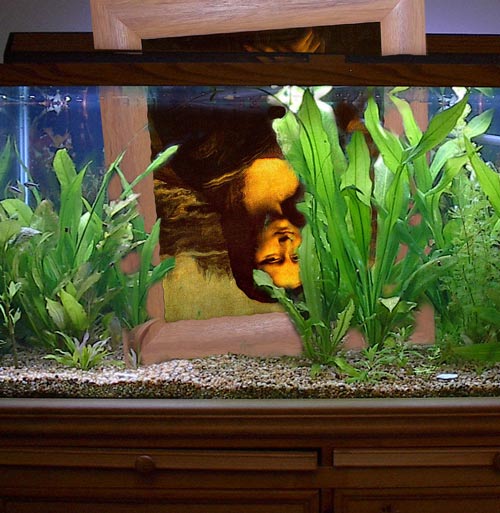 Photoshop Design by gunmetal for DesignCrowd (Community Contests) | Design #9149142