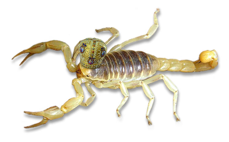 Design Photoshop par Ghost pour DesignCrowd (Community Contests) | Design #9149155