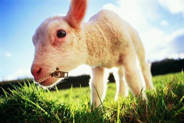 Design Photoshop par Bigpeeler pour DesignCrowd (Community Contests) | Design #9149201