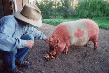 Photoshop-Design von BMCVfreak für DesignCrowd (Community Contests) | Design #9149296