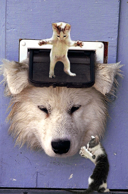 Diseño de Photoshop por robayer para DesignCrowd (Community Contests) | Diseño #9152067