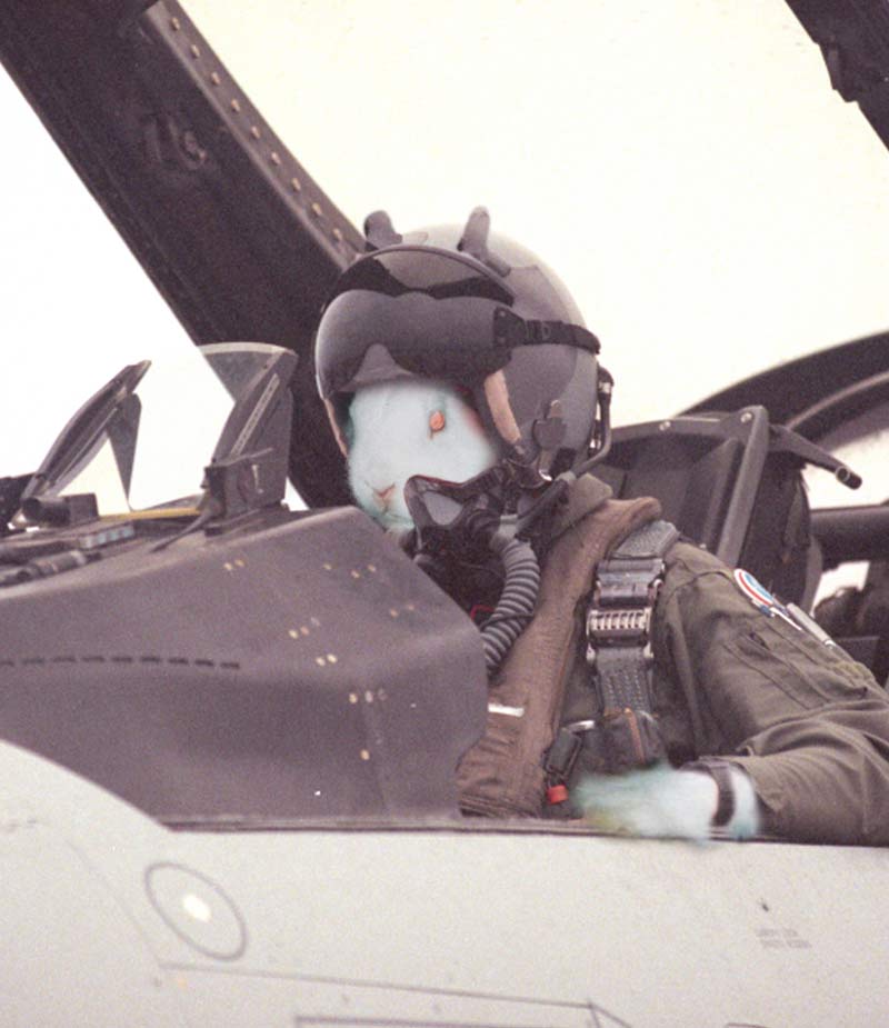 Photoshop Design by gunmetal for DesignCrowd (Community Contests) | Design #9152059