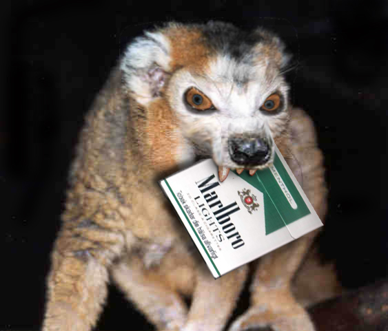 Photoshop Design by Bignamestar for DesignCrowd (Community Contests) | Design #9152102