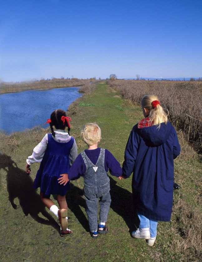 Photoshop Design by MoonGrrrl for DesignCrowd (Community Contests) | Design #9152125