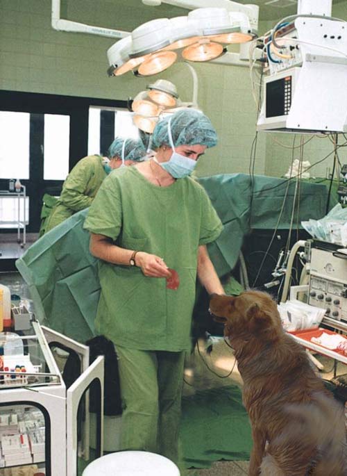 Photoshop Design by gunmetal for DesignCrowd (Community Contests) | Design #9126563