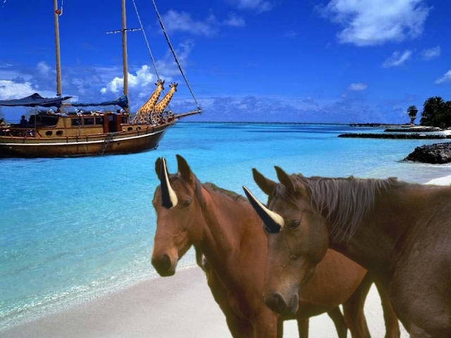 Photoshop Design by photopaint for DesignCrowd (Community Contests) | Design #9126579