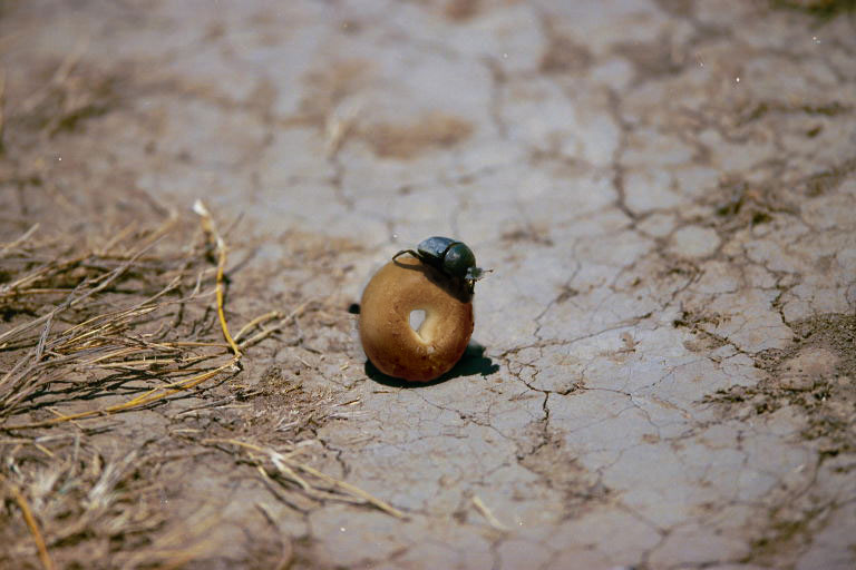 Photoshop Design by Snappy__Dragon for DesignCrowd (Community Contests) | Design #9126708