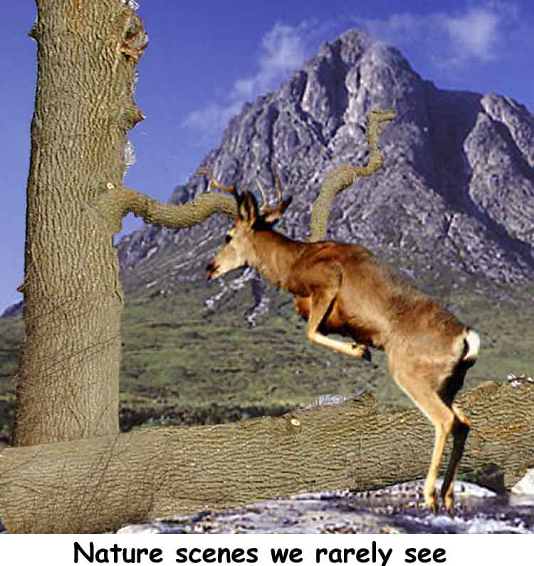 Photoshop-Design von contact_markm für DesignCrowd (Community Contests) | Design #9126721