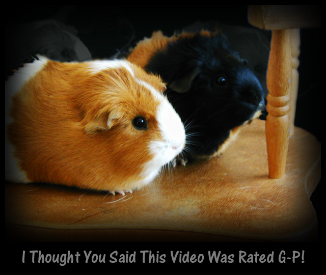 Diseño de Photoshop por GeneralE para DesignCrowd (Community Contests) | Diseño #9126716