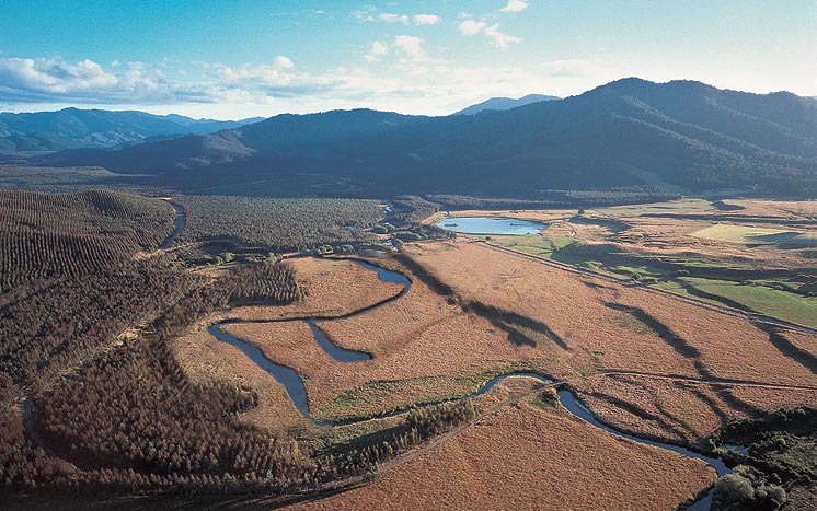 Photoshop-Design von Birdstuff für DesignCrowd (Community Contests) | Design #9151777