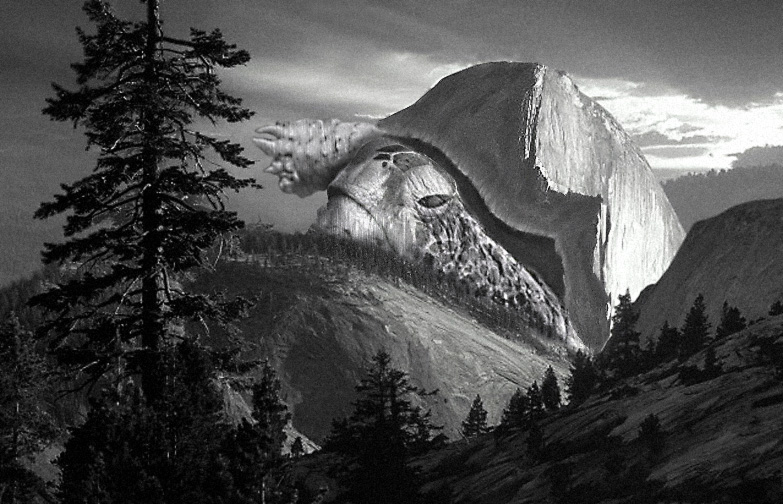 Photoshop Design by claven for DesignCrowd (Community Contests) | Design #9151901