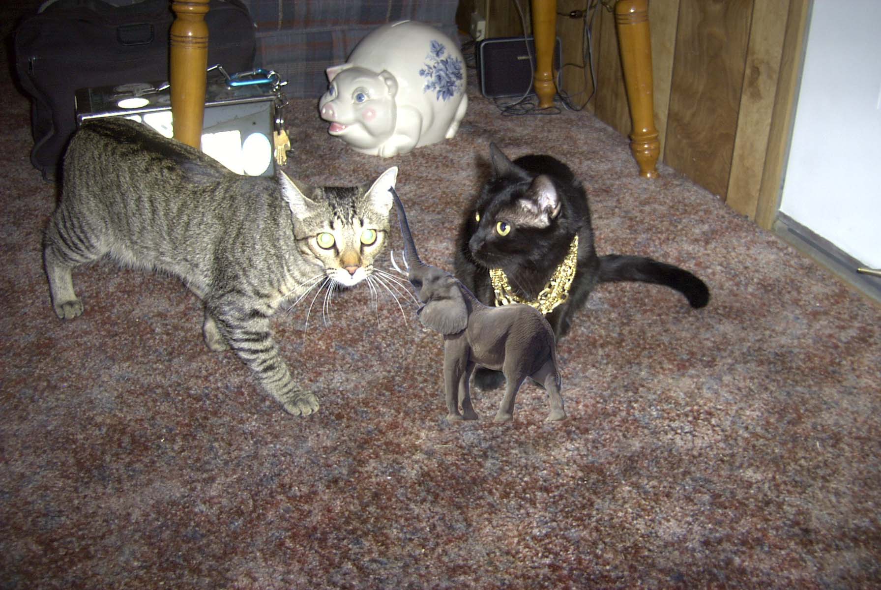 Photoshop-Design von CopperMiner für DesignCrowd (Community Contests) | Design #9151862