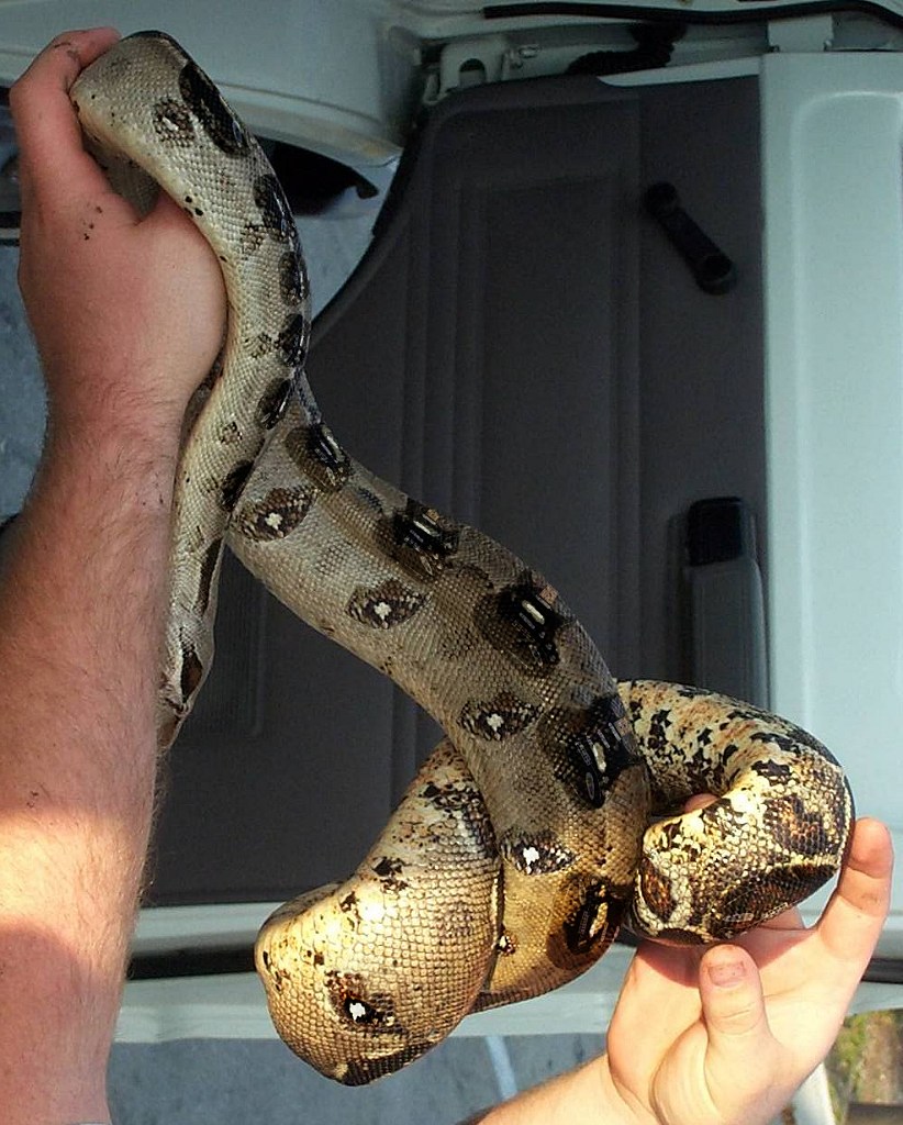 Photoshop Design by its420here for DesignCrowd (Community Contests) | Design #9148821