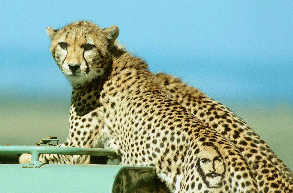 Photoshop Design by www4 for DesignCrowd (Community Contests) | Design #9148830