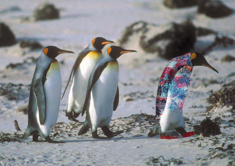 Photoshop Design by Thennek for DesignCrowd (Community Contests) | Design #9148861