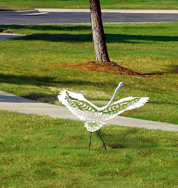 Diseño de Photoshop por JacksBlack para DesignCrowd (Community Contests) | Diseño #9148898