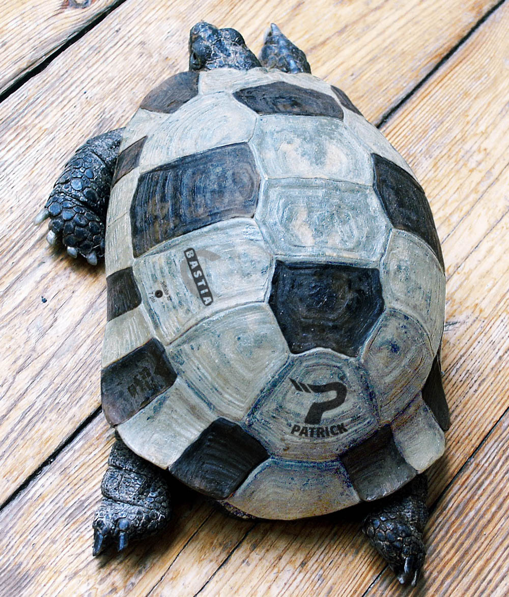 Photoshop-Design von Blipvert für DesignCrowd (Community Contests) | Design #9148957