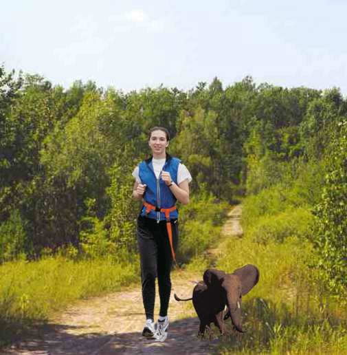 Photoshop-Design von Pfil für DesignCrowd (Community Contests) | Design #9151979