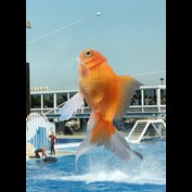 Photoshop Design by WillieTheCat