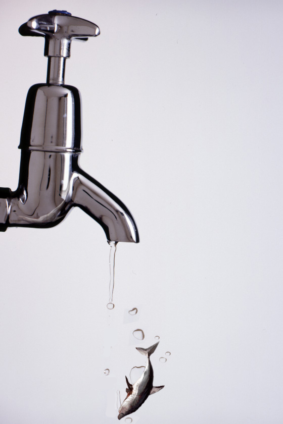 Design Photoshop par i_heart_anime pour DesignCrowd (Community Contests) | Design #9151984