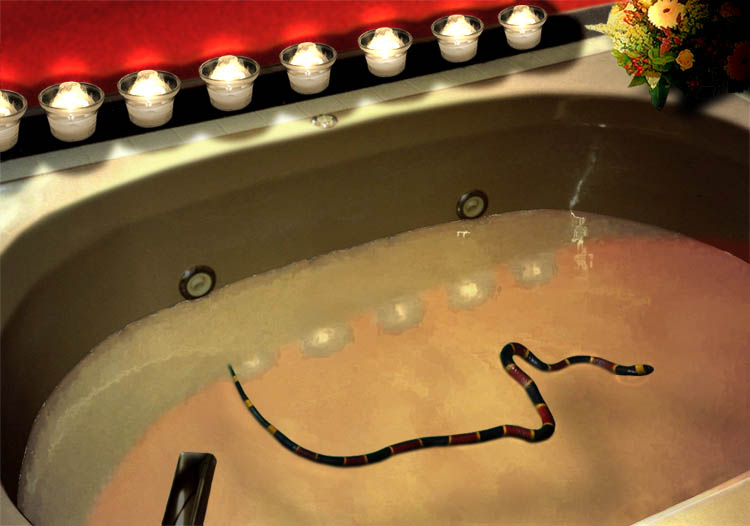 Photoshop Design by DakotaBoy88 for DesignCrowd (Community Contests) | Design #9146748