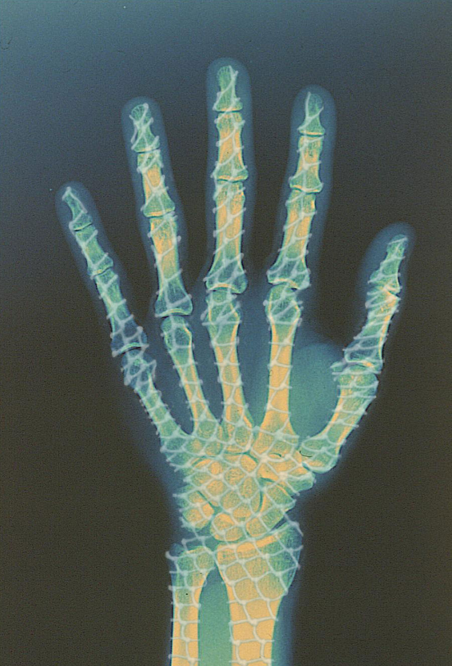 Diseño de Photoshop por Ghost para DesignCrowd (Community Contests) | Diseño #9151586