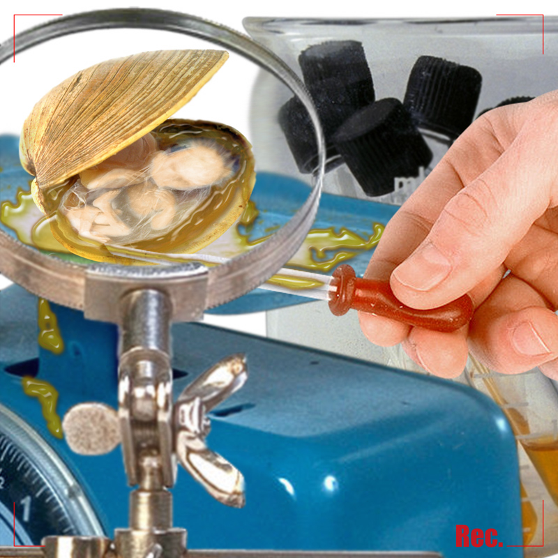 Photoshop Design by Lou for DesignCrowd (Community Contests) | Design #9151568