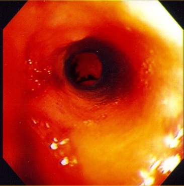 Diseño de Photoshop por MrBonusBuy para DesignCrowd (Community Contests) | Diseño #9151641