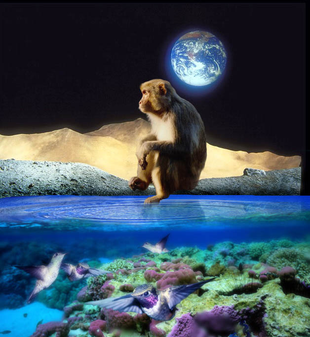 Photoshop-Design von rob_church für DesignCrowd (Community Contests) | Design #9126200