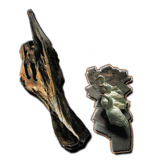 Photoshop Design by neznam for DesignCrowd (Community Contests) | Design #9146796