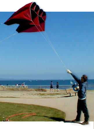 Photoshop Design by bebegreen2 for DesignCrowd (Community Contests) | Design #9146785