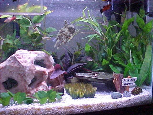 Photoshop Design by pyrotech for DesignCrowd (Community Contests) | Design #9126239