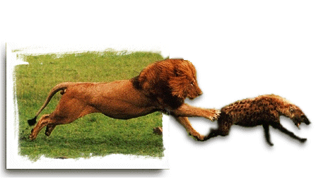 Diseño de Photoshop por sherrymack para DesignCrowd (Community Contests) | Diseño #9146848