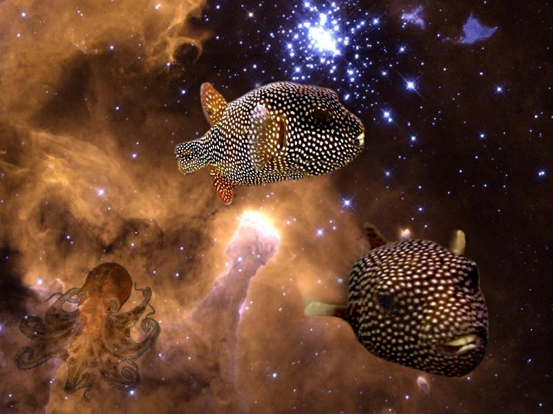 Photoshop Design by its420here for DesignCrowd (Community Contests) | Design #9126273