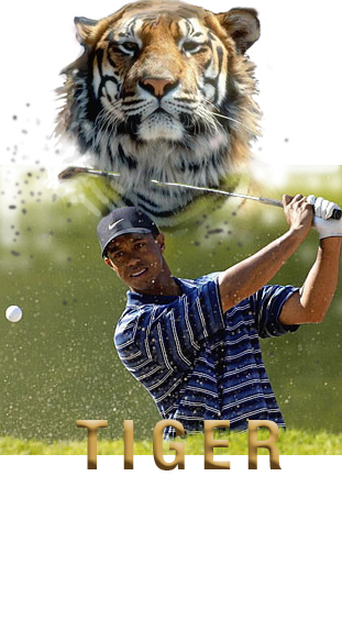 Photoshop Design by spitzit for DesignCrowd (Community Contests) | Design #9146861