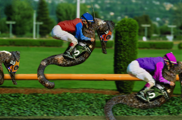 Diseño de Photoshop por Meatlump para DesignCrowd (Community Contests) | Diseño #9126339