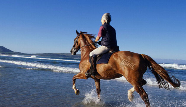 Design Photoshop par CrackerTushy pour DesignCrowd (Community Contests) | Design #9125819