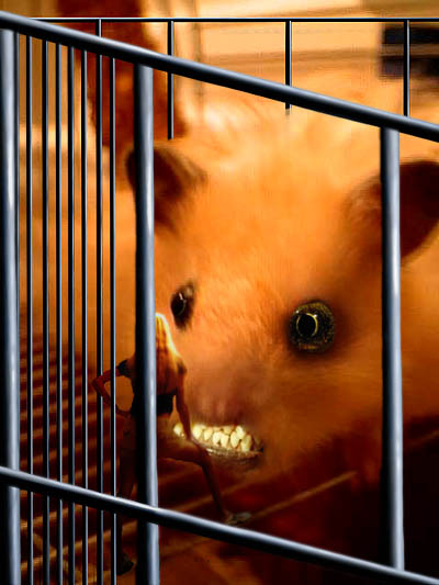 Photoshop Design by rob_church for DesignCrowd (Community Contests) | Design #9146412