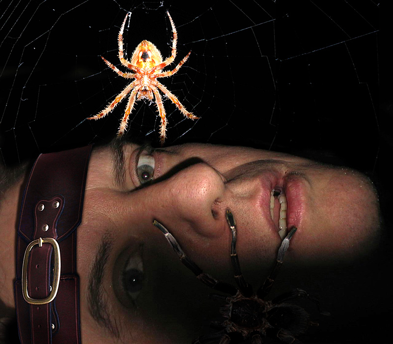 Photoshop Design by fRedline for DesignCrowd (Community Contests) | Design #9146576