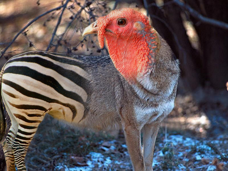 Photoshop-Design von LadyBug für DesignCrowd (Community Contests) | Design #9123196