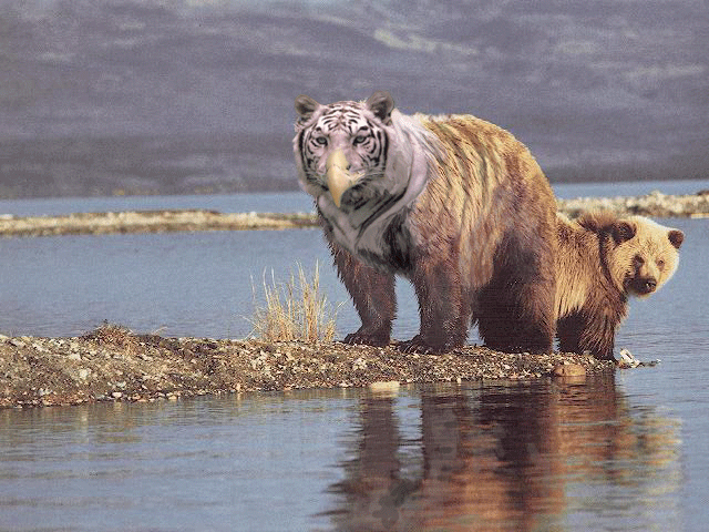 Photoshop Design by TheJinj for DesignCrowd (Community Contests) | Design #9123197