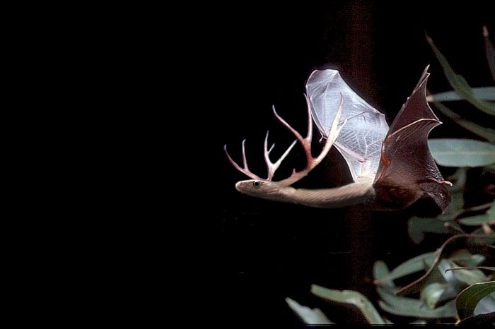 Photoshop Design by Jolt for DesignCrowd (Community Contests) | Design #9123205