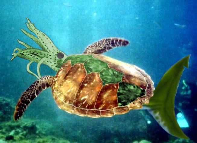 Photoshop Design by NaughtyT for DesignCrowd (Community Contests) | Design #9123242