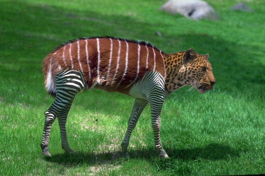 Photoshop-Design von CopperMiner für DesignCrowd (Community Contests) | Design #9123244