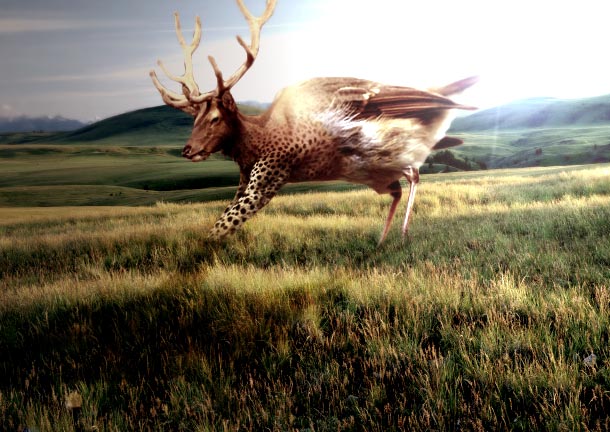 Photoshop Design by rob_church for DesignCrowd (Community Contests) | Design #9123227