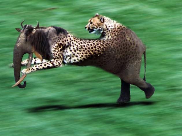 Design Photoshop par Brite pour DesignCrowd (Community Contests) | Design #9123339