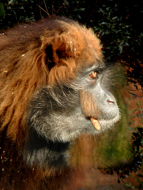 Photoshop Design by FastLane for DesignCrowd (Community Contests) | Design #9123360