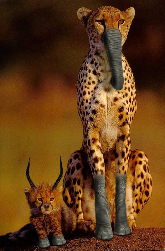 Photoshop Design by Terawatt_99 for DesignCrowd (Community Contests) | Design #9123337