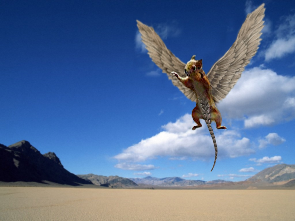 Photoshop Design by Scrollbar for DesignCrowd (Community Contests) | Design #9123314